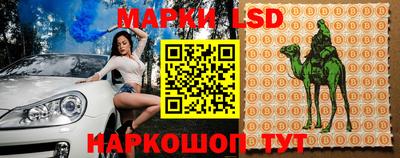 крисы Будённовск