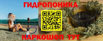 крисы Будённовск