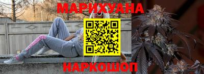 крисы Будённовск