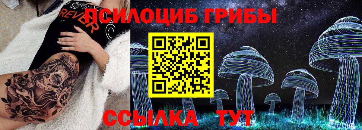 Псилоцибиновые грибы прущие грибы  Вход с VPN  Саранск 