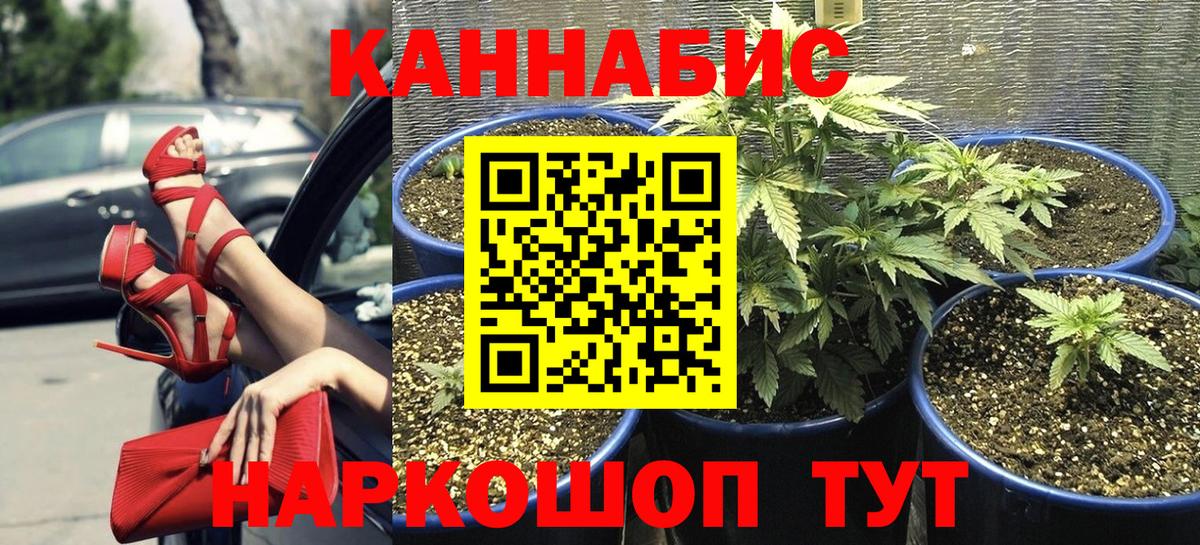 Бошки Шишки планчик Саранск